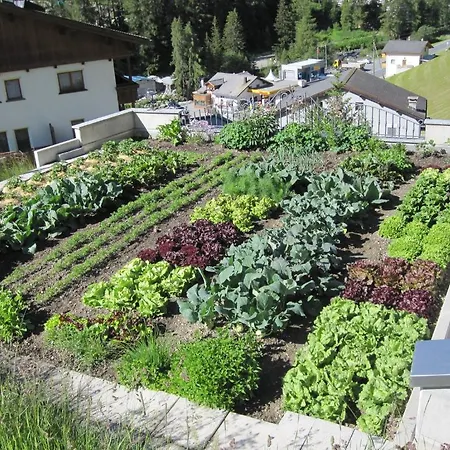 Chasa Valetta 삼나운